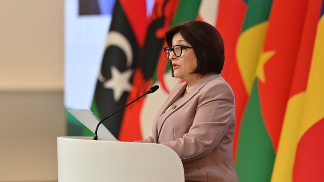 Sahibə Qafarova İƏTPİ-nin 20-ci sessiyasında çıxış etdi - FOTOLAR