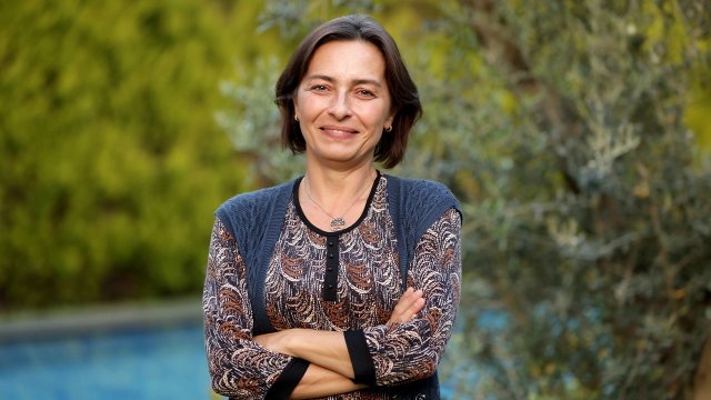 Ekranlara qayıdır