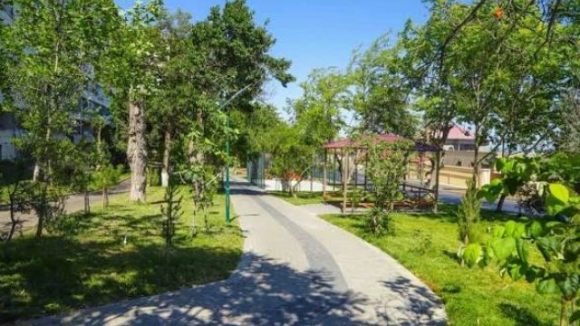 Bakıda yaşıllıqlar azalır &ndash; &ldquo;Ciddi ekoloji problemdir&rdquo;