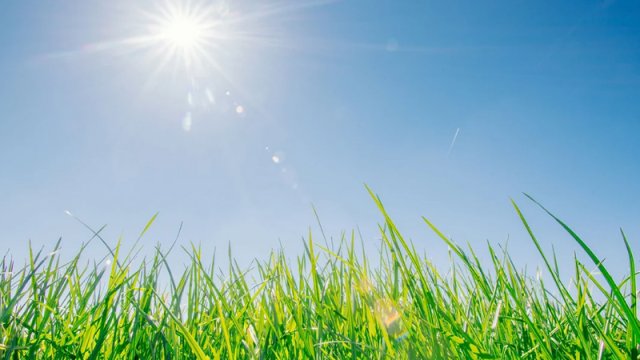 Avqustda hava necə olcaq?