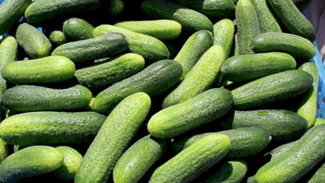 Bazarda xiyar qiymətləri neçəyədir?