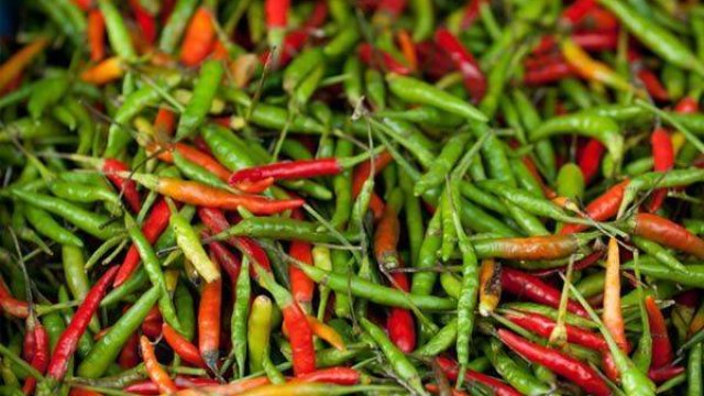 Acı bibər neçəyədir? &ndash; Bazar QİYMƏTLƏRİ