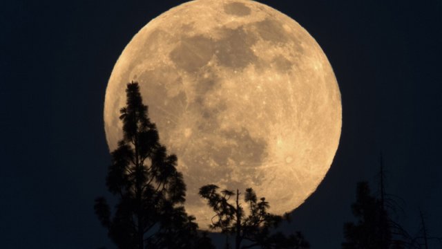 Ay stansiyasının ulduzşəkilli forması astronavtları istidən və şaxtadan qoruyacaq