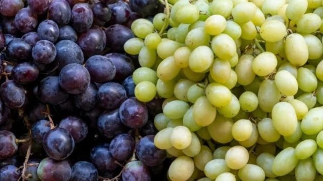 Üzüm neçəyədir? &ndash; Bazar QİYMƏTLƏRİ