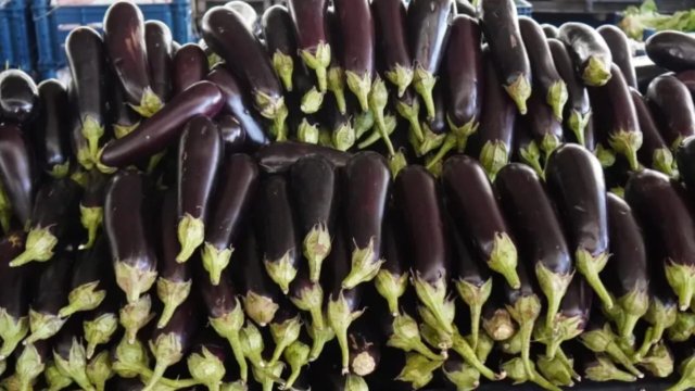 Badımcan bahalaşdı &ndash; yeni QİYMƏTLƏR