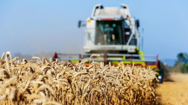 Ukrayna aqrar ixracı qismən bərpa edib - 10 milyard dollarlıq itki riski