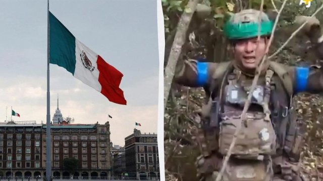Meksika narkokartel üzvlərinin Ukrayna müharibəsində iştirakını araşdırır
