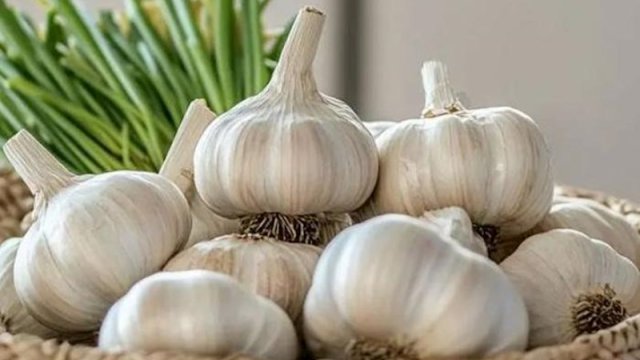 Sarımsaq qiymətləri neçəyədir?